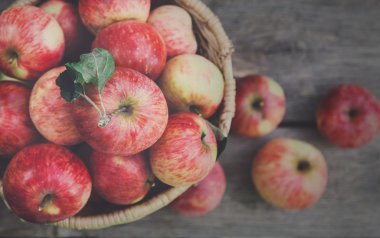 Sepet elma hasat Bahçe, en iyi görünümü ile