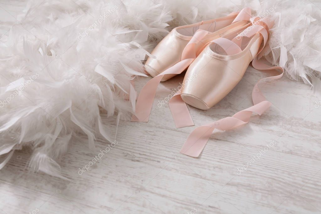 Pink ballet pointe shoes and feather on white wood background Stock Photo  by ©Milkos 129081648