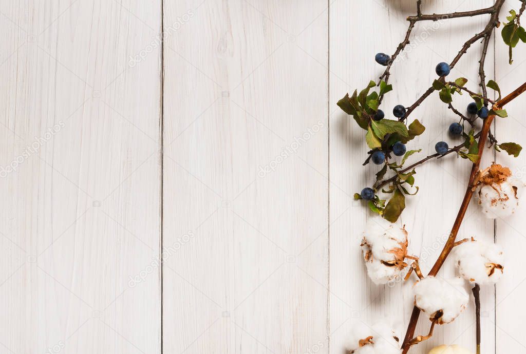 Autumn border of dried flowers on white wood, background — Stock Photo