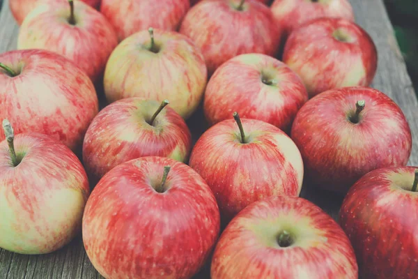Dulce fresco maduro rojo manzana cosecha fondo — Foto de Stock