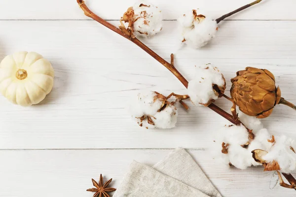 Herbst getrocknete Blumen und Kürbis auf weißem Holz, Hintergrund — Stockfoto