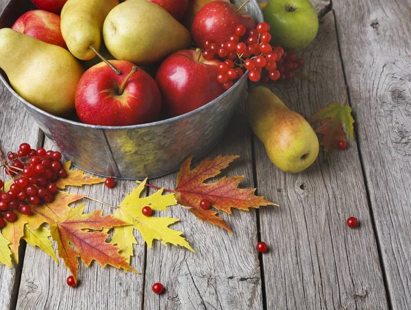 Fondo de la tarjeta de cosecha y acción de gracias de otoño —  Fotos de Stock