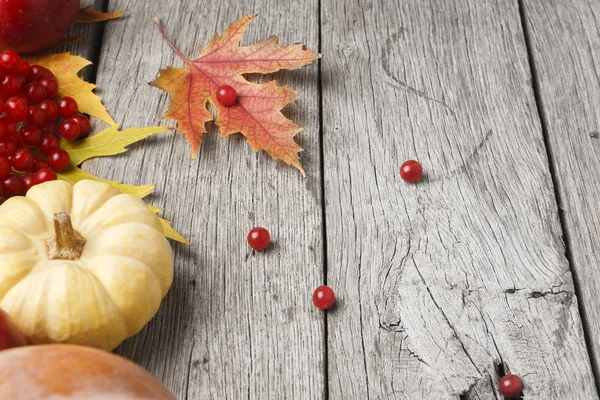 Fondo de la tarjeta de cosecha y acción de gracias de otoño —  Fotos de Stock