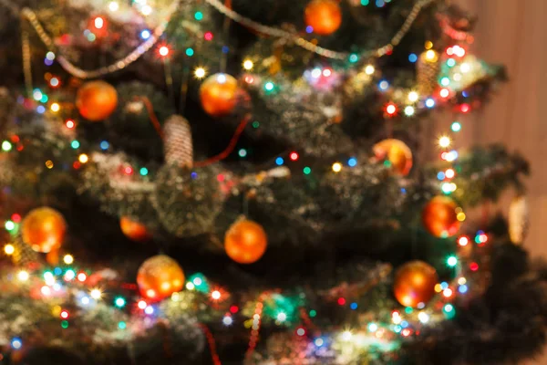 Будь-які різдвяні прикрашені дерева в сяючих вогнях — стокове фото