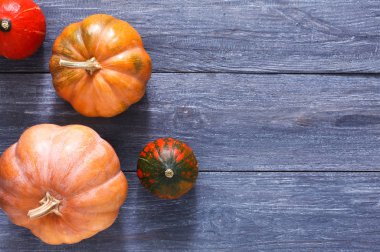 Sonbahar kabak hasat arka plan