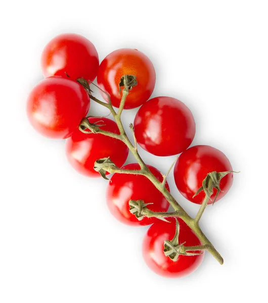 Tomates cerises rouges mûres branche isolée sur fond blanc — Photo