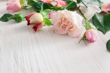 Sevgililer günü arka plan, gül çiçek Beyaz ahşap üzerine