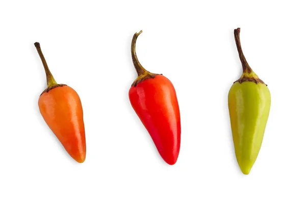 Małych sortowania papryki chili na białym tle — Zdjęcie stockowe