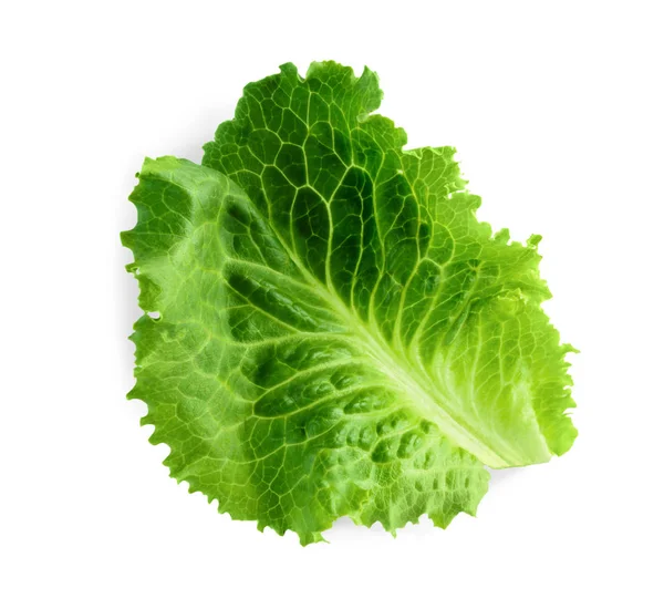 Zöld friss saláta elszigetelt fehér background — Stock Fotó