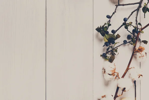 Borda de outono de flores secas em madeira branca, fundo — Fotografia de Stock