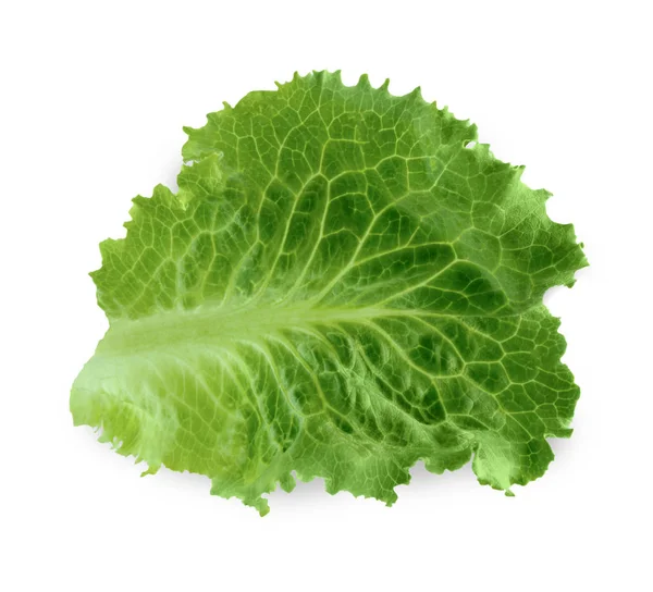 Grüner frischer Salat isoliert auf weißem Hintergrund — Stockfoto