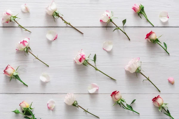 Dia dos namorados fundo, flores de rosa na madeira branca — Fotografia de Stock