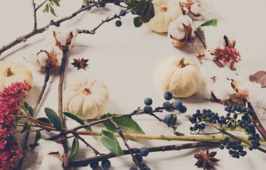 Beyaz ahşap, en iyi görünümü üzerinde kurutulmuş çiçek çerçeve çiçek.