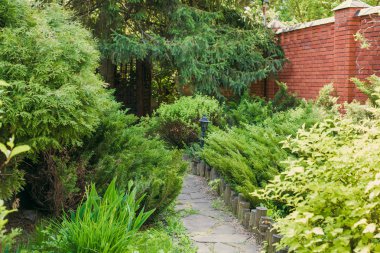 Peyzaj tasarımı, herdem yeşil çam ağaçları ve çalılar