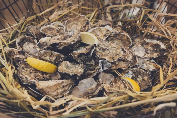 Beaucoup de fruits de mer, huîtres dans le panier — Photo