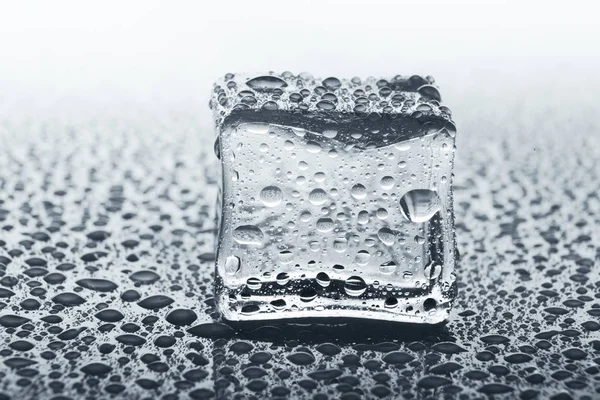 Transparenter Eiswürfel mit Reflexionsglas mit Wassertropfen, monochrom — Stockfoto