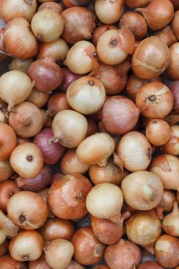 Organik soğan taze toplanmış, arka plan