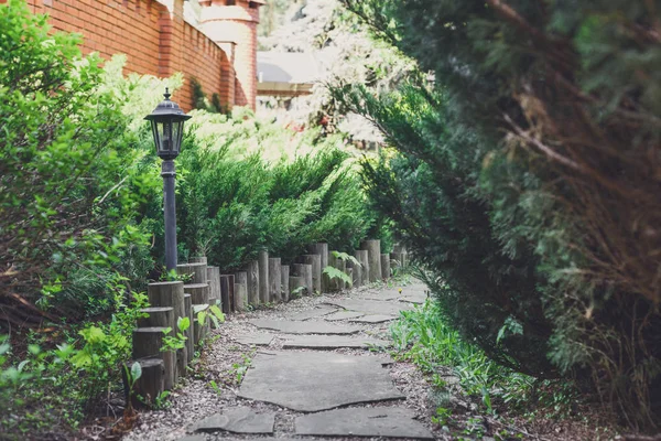 Projeto da paisagem, arbustos evergreen e caminho da telha do jardim — Fotografia de Stock