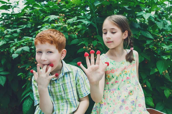 Glada barn äta hallon från fingrar i sommarträdgård — Stockfoto