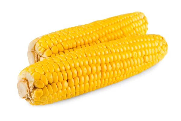 玉米芯或孤立的白色背景上的玉米 — 图库照片
