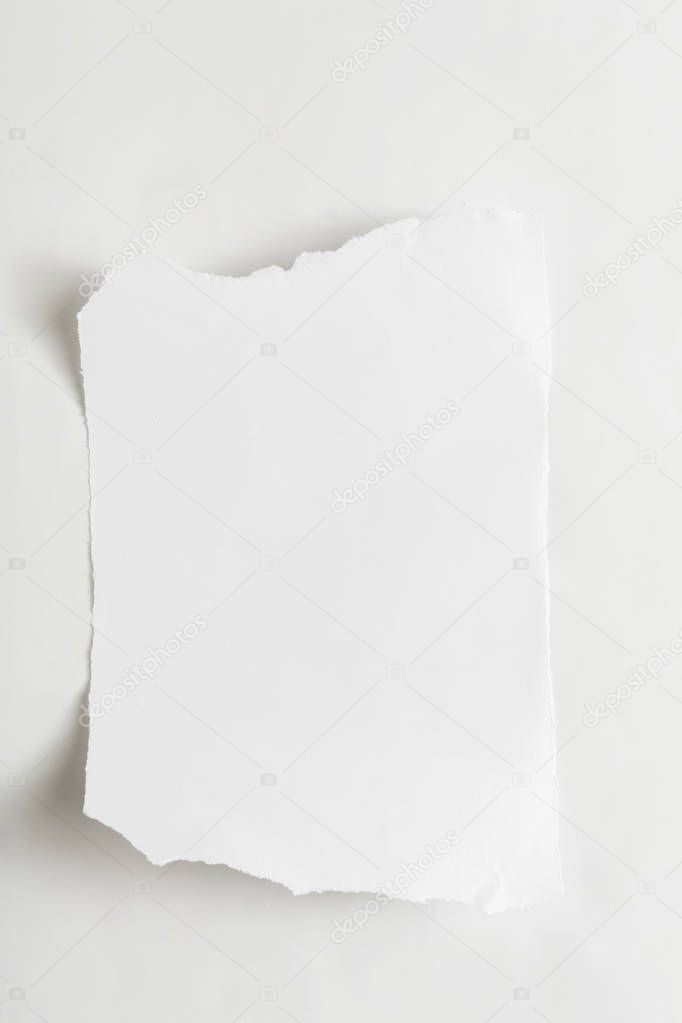 Torn sheet, blank ripped paper piece