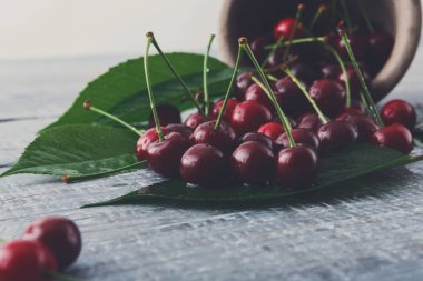 Taze kiraz closeup mavi rustik ahşap üzerine yeşil yaprakları ile