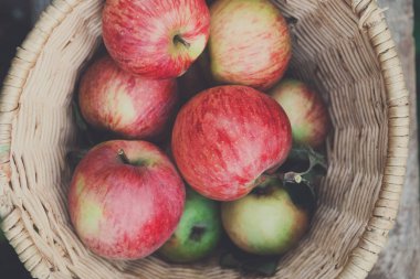 Sepet elma hasat Bahçe, en iyi görünümü ile