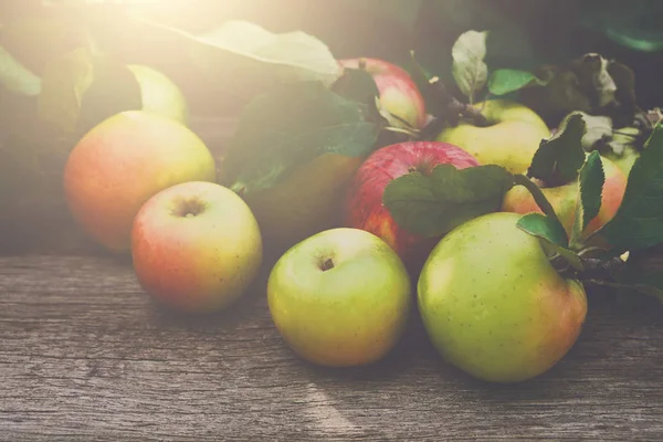 Ernte roter und gelber Äpfel im Herbstgarten — Stockfoto