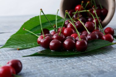 Mavi rustik ahşap üzerine yeşil yaprakları ile taze kiraz