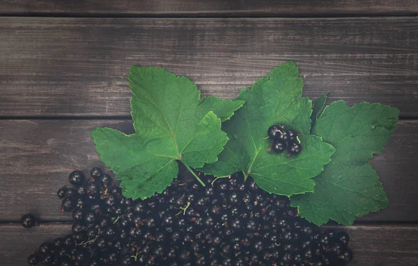 Schwarze Johannisbeeren häufen Nahaufnahmen auf rustikalem Holz Hintergrund — Stockfoto