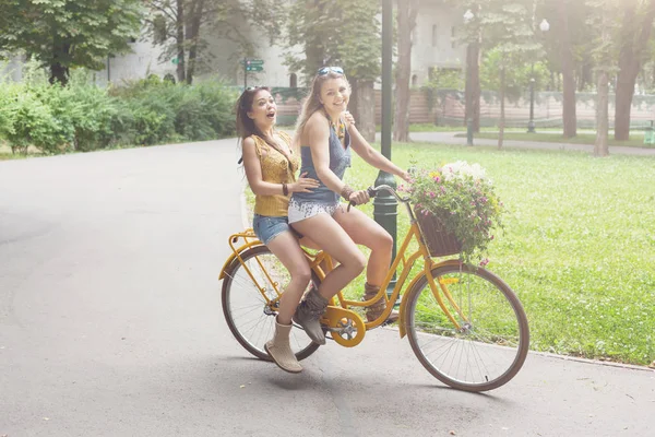 행복 boho 세련 된 여자 함께 공원에 자전거를 타고 — 스톡 사진