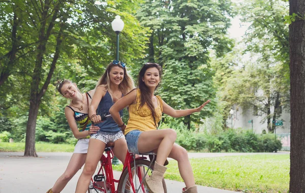 Happy boho chic girls ride together on bicycles in park — Stock Photo, Image