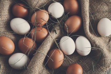 Torba, organik tarım arka plan beyaz ve kahverengi taze tavuk yumurta