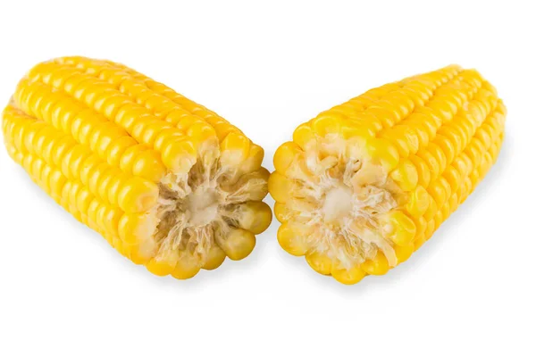 Mazorca de maíz o maíz aislado sobre fondo blanco — Foto de Stock