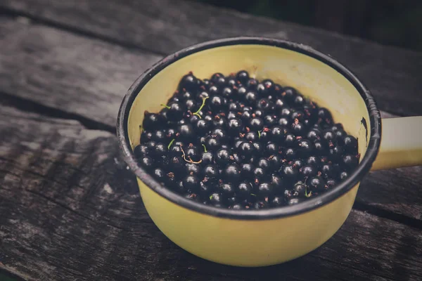 Schwarze Johannisbeeren Topf Nahaufnahme auf rustikalem Holz Hintergrund — Stockfoto