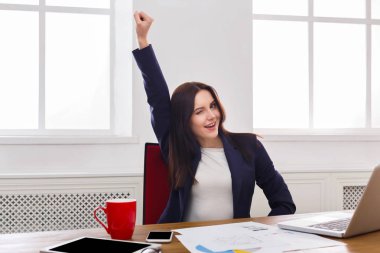 İş kadın zevk başarılı projesi