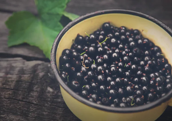 Schwarze Johannisbeeren Topf Nahaufnahme auf rustikalem Holz Hintergrund — Stockfoto