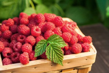 Ahududu Bahçe ahşap masa bush yakınındaki sepetle