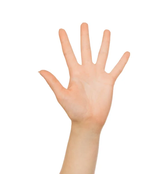 Fünf Gesten - ausgestreckte Handfläche, Ausschnitt — Stockfoto