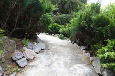 Peyzaj tasarımı, yaprak dökmeyen çalılar ve yol