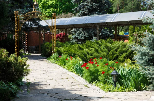 Tulpaner i trädgården, landskapsplanering. — Stockfoto