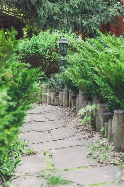 Peyzaj tasarımı, yaprak dökmeyen çalılar ve yol — Stok fotoğraf