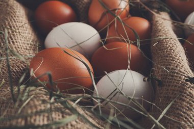 Torba, organik tarım arka plan beyaz ve kahverengi taze tavuk yumurta