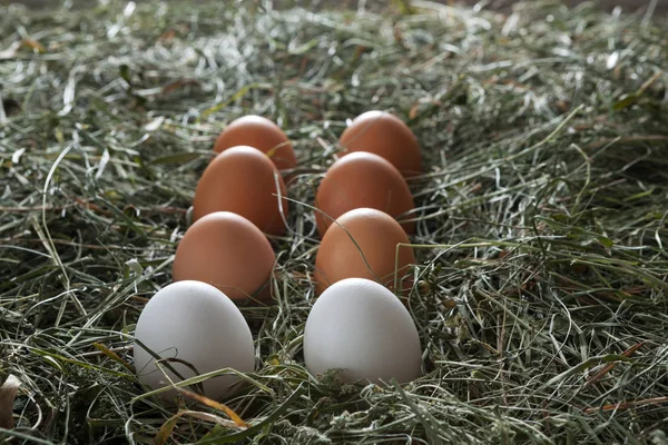Fresh chicken brown eggs on hay, eco farming background — Stock Photo, Image