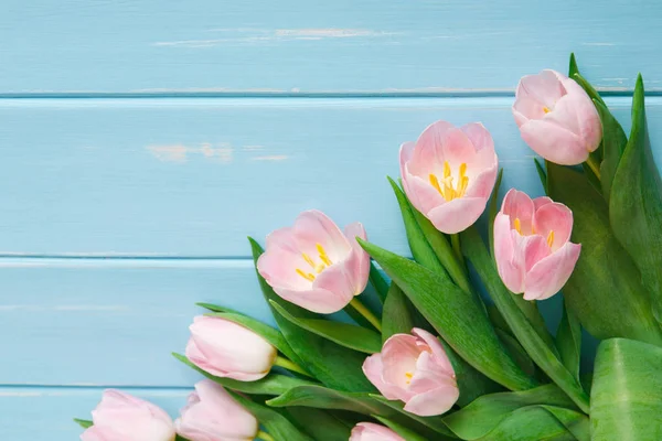 Pink tulips on blue wood background, copy space — Stock Photo, Image