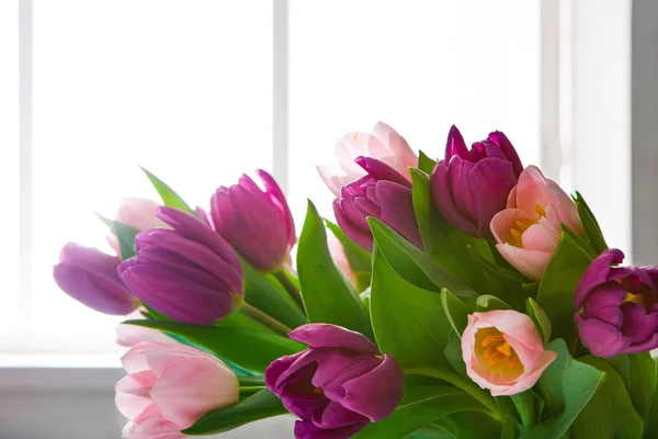 Tulipany tło, fioletowe i różowe kwiaty w pobliżu okna, miejsce — Zdjęcie stockowe
