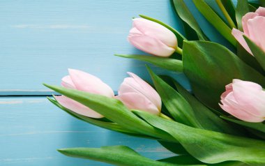 Mavi ahşap arka plan, kopya alanı üzerinde pembe laleler