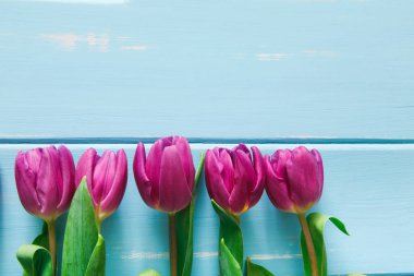 Çiçekler arka plan, mavi ahşap, kopya alanı üzerine Menekşe Lale