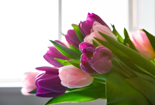 Flores fundo, Violeta e rosa tulipas perto da janela, espaço de cópia — Fotografia de Stock