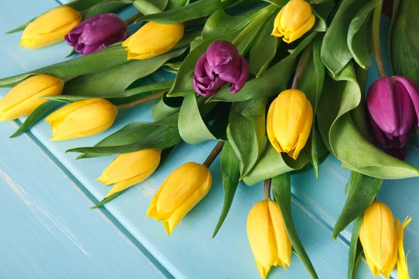 Yellow and violet tulips on blue wood background, copy space